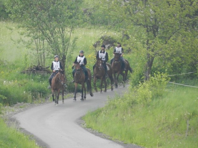 Rajd Mszana Górna 2015